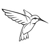 bird-2