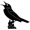 bird-on-branch