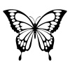 butteryfly-7