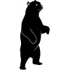 cute-bear