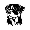 dog-6