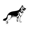 dog-7