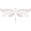 dragonfly-1