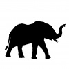 elephant-1