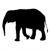 elephant-6