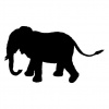 elephant-7
