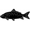 fish-3