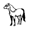 horse-5