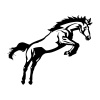 horse-7