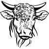 oxhead-taurus-1