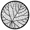 preview_-_circular5