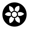 preview_-_flowercoaster1