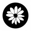 preview_-_flowercoaster3