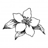 preview_-_flowers2
