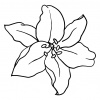 preview_-_lillies1