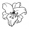 preview_-_lillies2