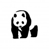 preview_-_pandas7
