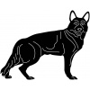 puppy-1