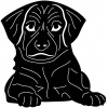 puppy-2
