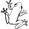 tree-frog-1