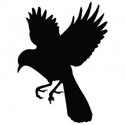 bird-1