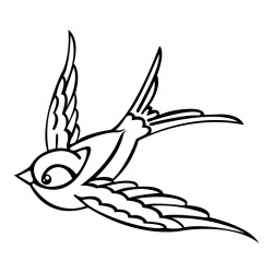 bird-6