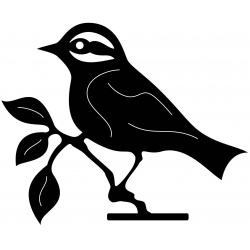 bird-on-branch-1