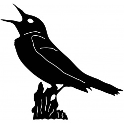 bird-on-branch
