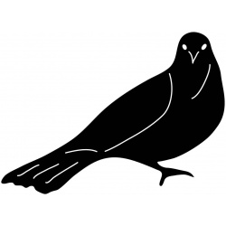 british-garden-bird
