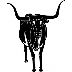 bull-2