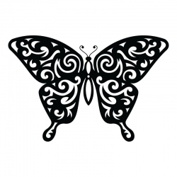 butteryfly-5