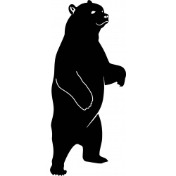 cute-bear