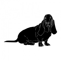 dog-2