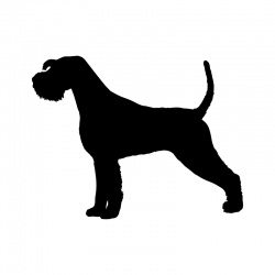 dog-4