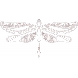 dragonfly-1