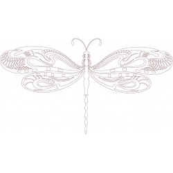 dragonfly-3