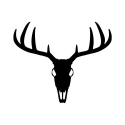 elk-skull-1