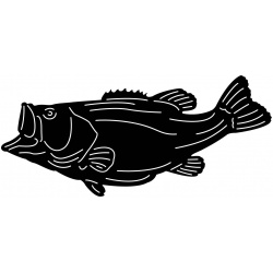 fish-1