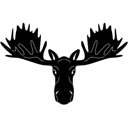 moose-3