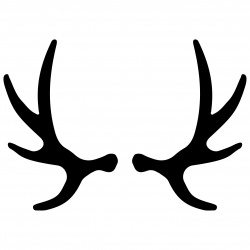 preview_-_antlers1
