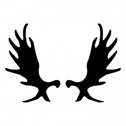 preview_-_antlers3