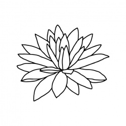 preview_-_flowers1