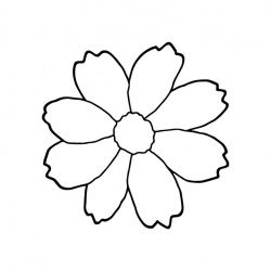 preview_-_flowers5