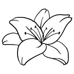 preview_-_lillies6