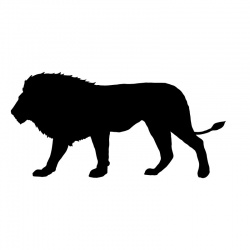 preview_-_lions4