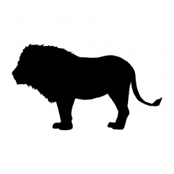 preview_-_lions7