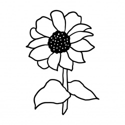 preview_-_summerflowers3