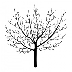 preview_-_tree7