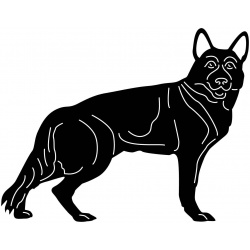 puppy-1