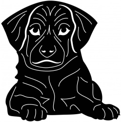 puppy-2